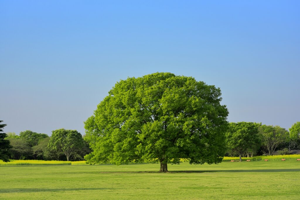 お客様の声 456013 m